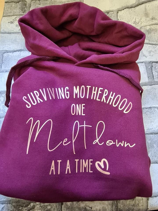 Surviving Motherhood Hoodie