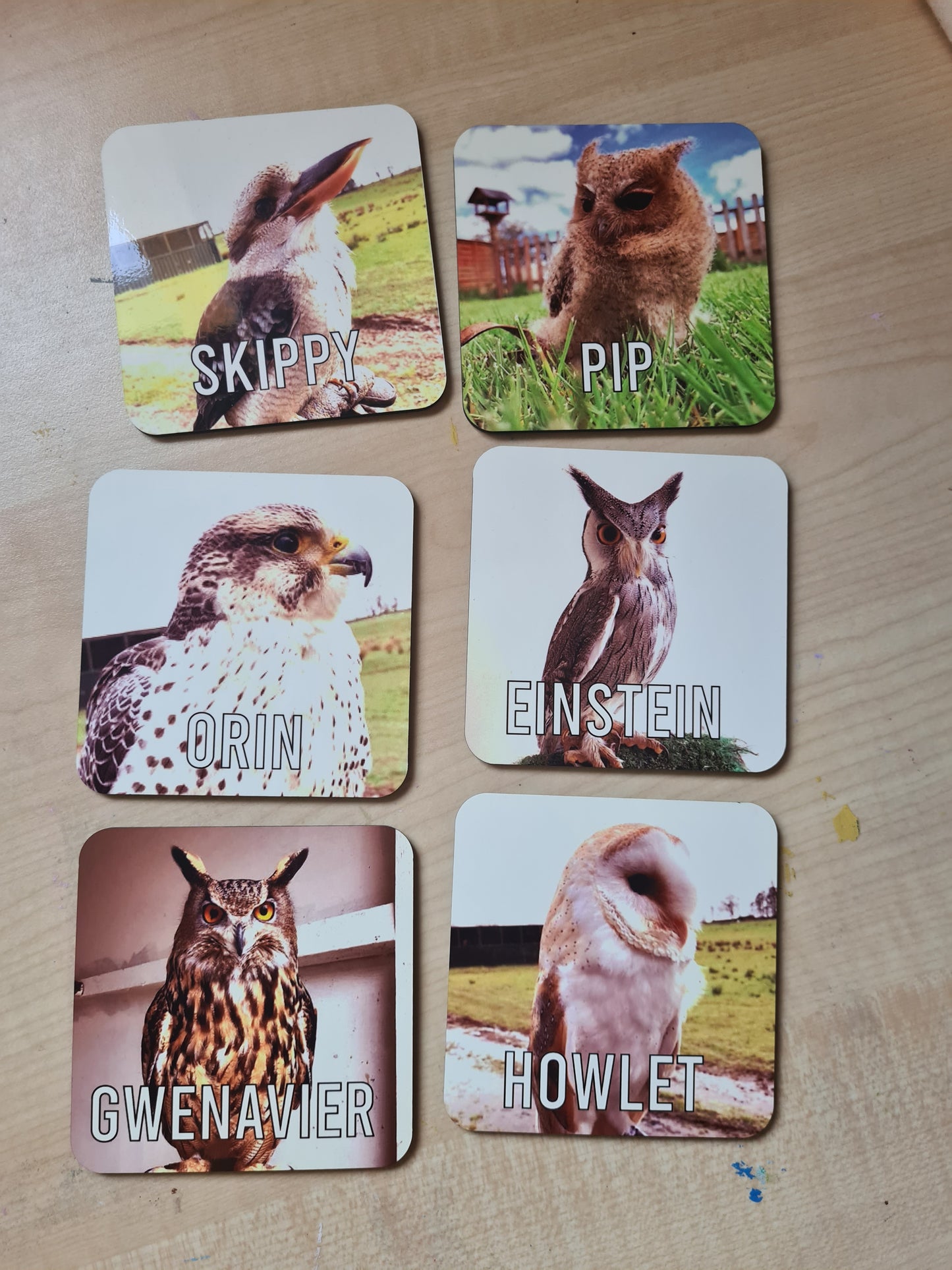 Photo coaster